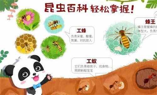 奇妙昆虫世界截图(3)