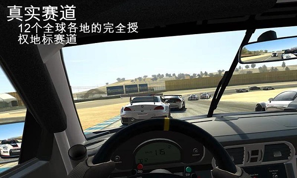 真实赛车3D单机版截图(1)