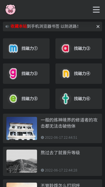 BT磁力猪截图(1)