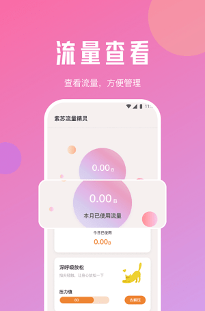 紫苏流量精灵截图(3)