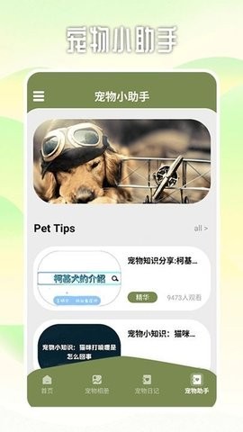 爱游猫助手截图(1)