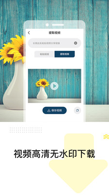 精灵视频去水印免费版截图(3)