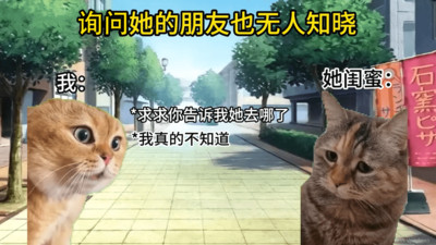 猫meme搞怪冒险截图(2)