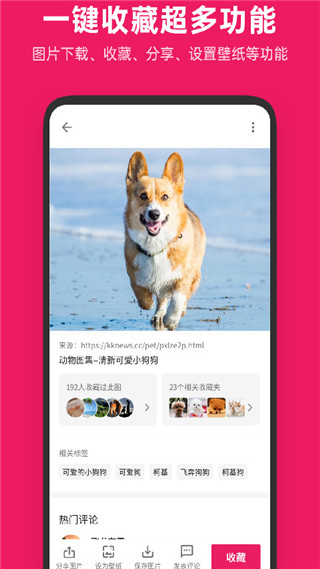 图片搜搜 v5.3.2截图2