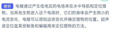 《支付宝》2023年9月1日神奇海洋科普答案介绍