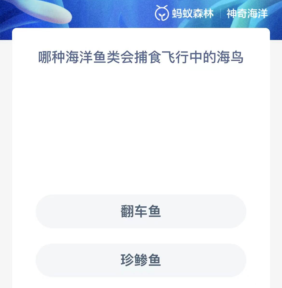 《支付宝》2023年10月4日神奇海洋科普答案介绍