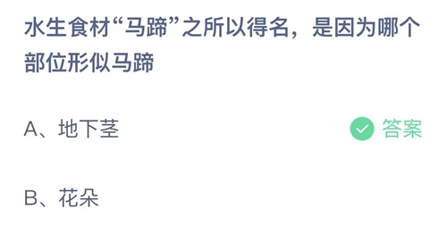 《支付宝》2023蚂蚁庄园11月01日答案大全